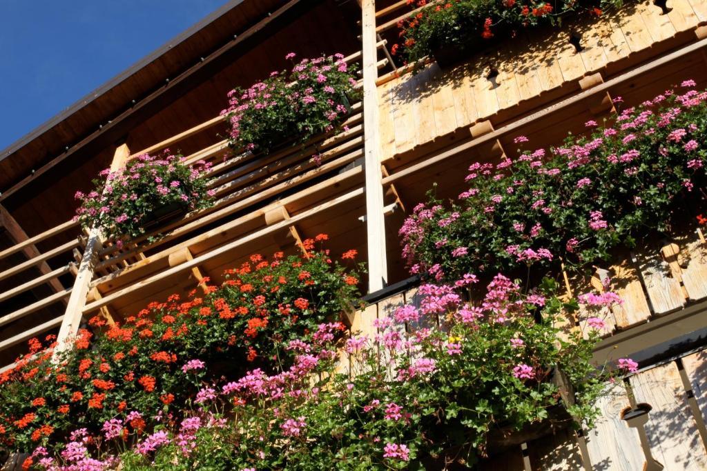 Albergo Centrale Forni di Sopra Εξωτερικό φωτογραφία